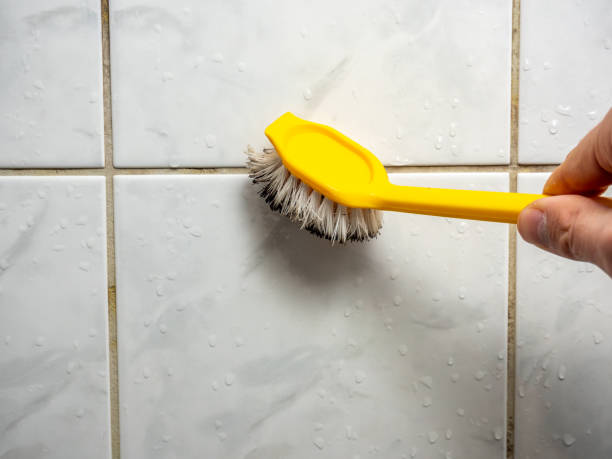 Best Office Mold Removal Services  in Desoto Lakes, FL